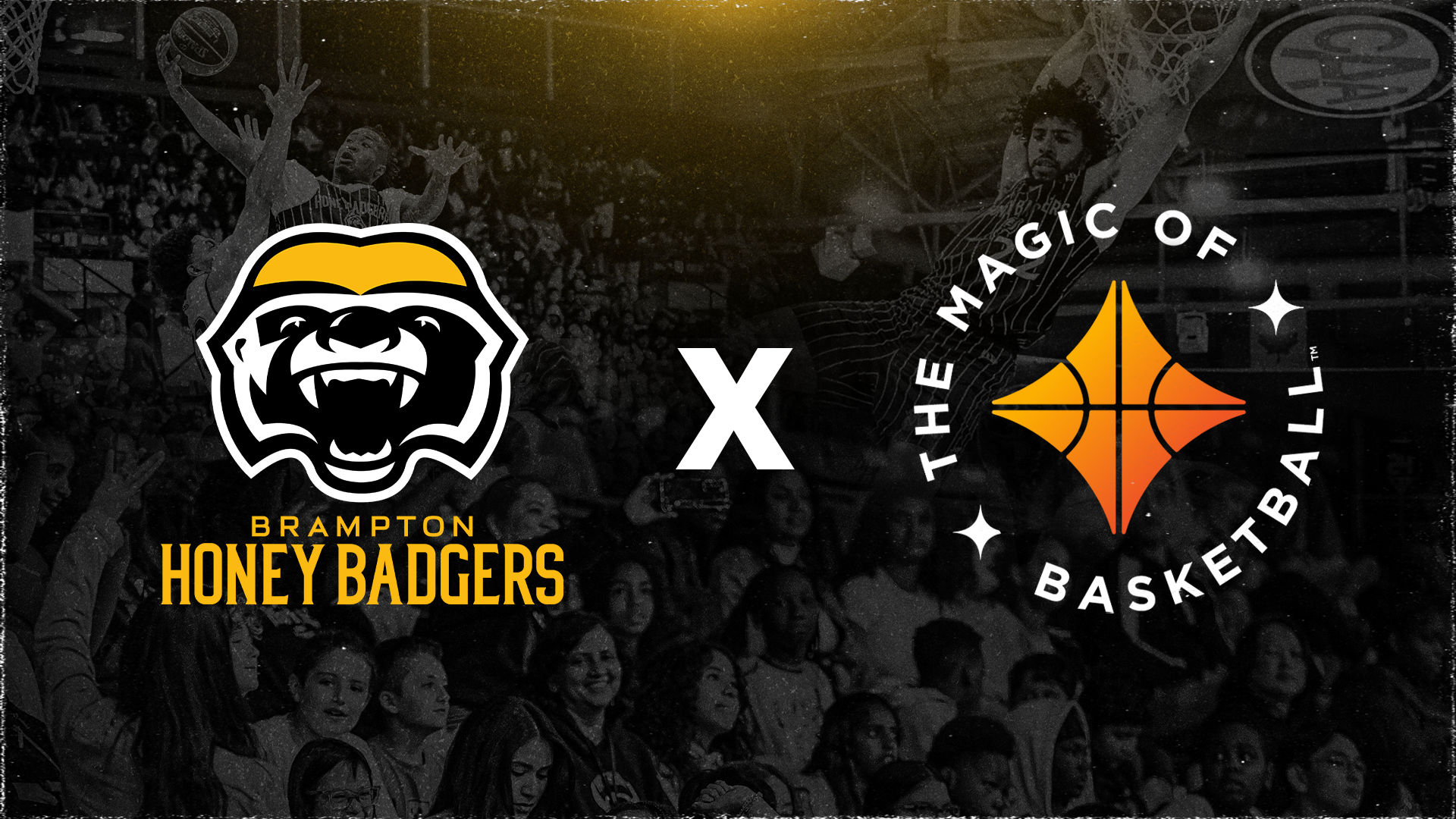 Brampton Honey Badgers and The Magic of Basketball™ Announce